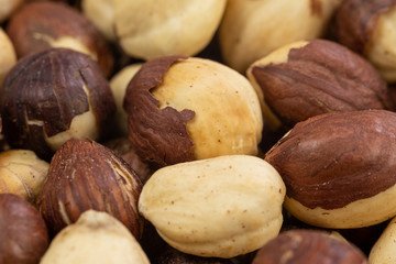 Geröstete Haselnüsse (Makro / Detail)