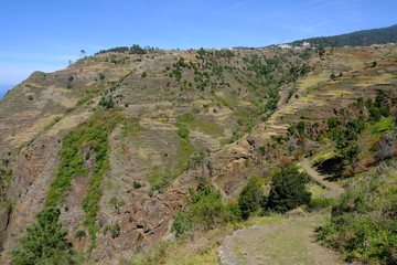 Walking path along the cliffs, Paul Do Mar, Madeira Island, Portugal