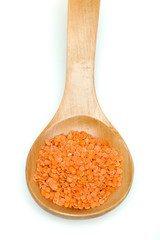 Lentil split in wooden spoon