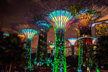 Stunning gardens by the bay in Singapore