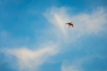 Single kite is flying on blue sky with clouds background in Fanateer beach - Jubail Saudi Arabia.