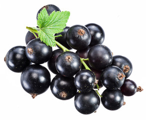 Ripe blackcurrant branch with green leaf on the white background.