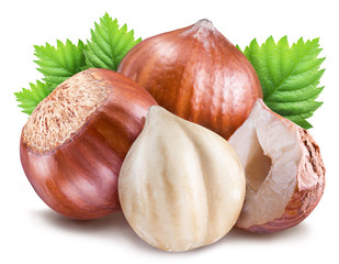 Hazelnuts with shell, hazel leaves and peeled nut isolated on a white background.