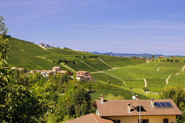 Countryside of Barolo, famous wine production city of Langhe, Piedmont, Italy