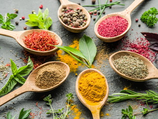 Assortment of colorful spices in the wooden spoons.