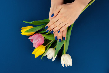 Woman hands with manicure holding colorful tulips on blue background