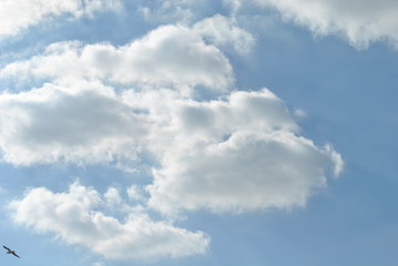 Cloudy nice sky at midday with sun bright