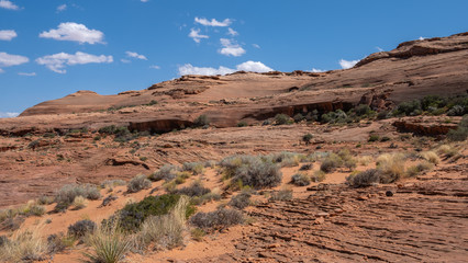 Fototapeta premium Desert next to Page, canyon and red sand