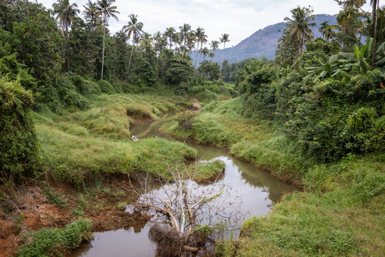 Landcape image of a tiny tributary of the Periyar river in Kerala, India