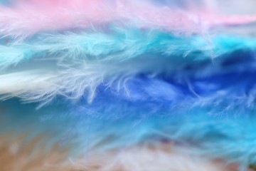 Feathers texture in pastel colors.Blue, pink, turquoise feathers  close-up background.Soft focus....