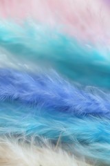 Feathers texture in pastel colors.Blue, pink, turquoise feathers set close-up background.Soft focus. multicolored Fluffy soft background. 