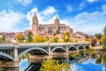 Foto op Plexiglas Karelsbrug Cathedral of Salamanca and bridge over Tormes river
