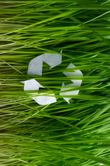 Vertical image.Top view of recycling symbol on the green lush grass.Concept of care of environment