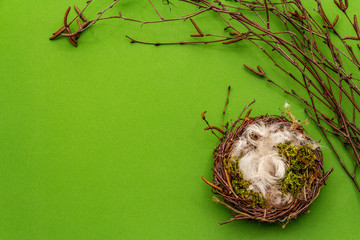 Naklejka na ściany i meble Easter zero waste decor, DIY concept. Design element and decor. Bird nest, moss, birch branches, feather. Green background