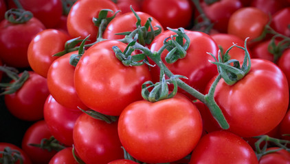 Fresh and organic tomatoes on the local market