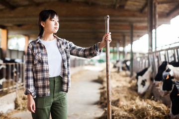 Positive female farmer who is standing near cows at the farm