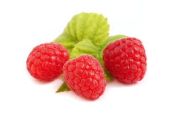 Raspberries, fruit on white background. 