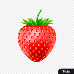 Red strawberry. Realistic style