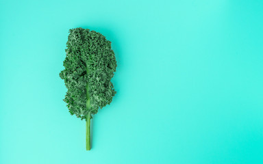 kale pattern on a green background, top view, flat lay