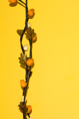 decorative artificial plant on color background