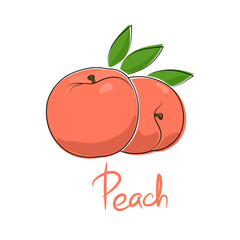 Pink peach and text Peach, fruit isolated on white background, vector illustration