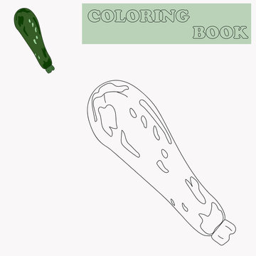 Coloring book or page cartoon of zucchini squash for kids. Cute colorful veggies as an example for coloring book. Practice worksheet for preschool and kindergarten. Vector illustration