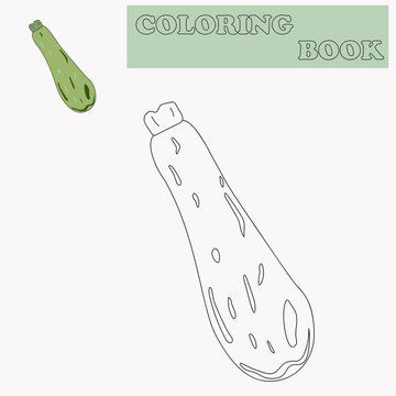 Coloring book or page cartoon of zucchini squash for kids. Cute colorful veggies as an example for coloring book. Practice worksheet for preschool and kindergarten. Vector illustration