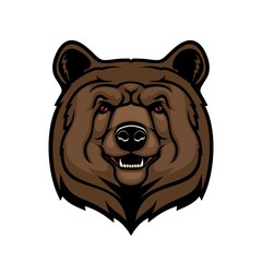 Grizzly brown bear head, wild animal vector mascot. Angry bear predator character with open mouth, teeth and fangs, black nose and red eyes. Forest mammal, zoo or hunting sport theme