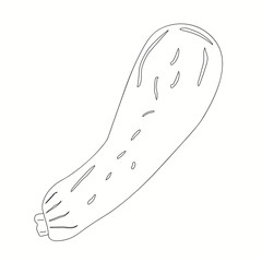 Vintage zucchini outline, great design for any purposes. Healthy background. Organic healthy food. Healthy food, veggie. Vegan food vector set. Vector symbol. Vegan salad. Vegan vector icon.