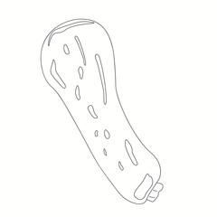 Zucchini squash hand drawn vector illustration . Isolated vegetable outline object. Detailed vegetarian food drawing. Farm market product. Great for menu, label, icon