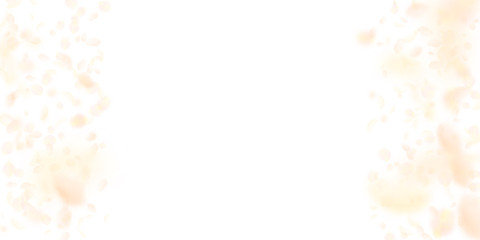 Yellow orange flower petals falling down. Energeti