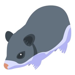 Animal hamster icon. Isometric of animal hamster vector icon for web design isolated on white background