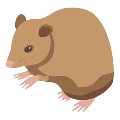 Wild mice icon. Isometric of wild mice vector icon for web design isolated on white background