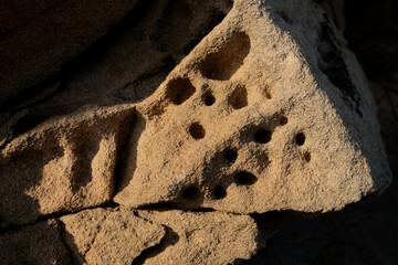 Pattern of eroded limestone in cliff face