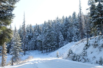 snowy winter in the mountains