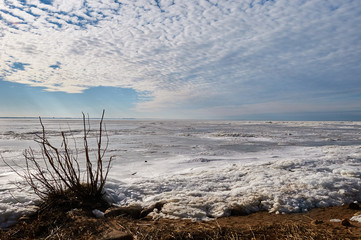 Gulf of Finland in spring, ice is melting