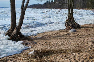 Gulf of Finland in spring, ice is melting