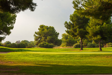 Fototapeta na wymiar Golf course with green trees and grass