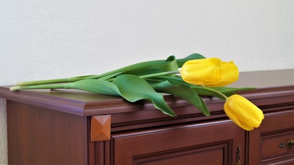 bouquet of yellow tulips on a wooden chest of drawers on a white wall background