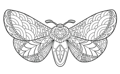 Butterfly coloring page for children and adults. Beautiful drawings with patterns and small details. Hand drawing vector illustration in black outline on a white background
