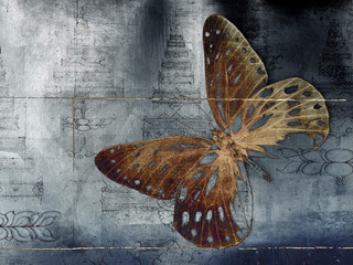 butterfly thai 