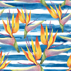 Seamless pattern with Watercolour illustration of sterilizer tropic flower isolated.