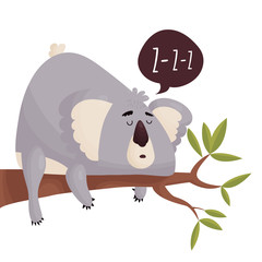 Cute fat lazy Koala on a tree branch.