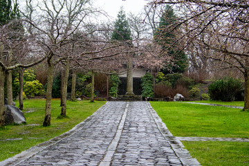 alley in the park