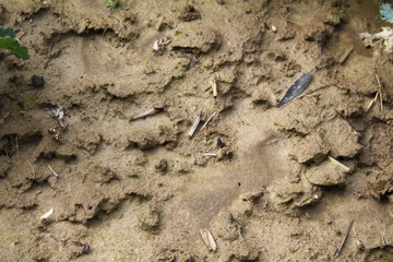 Runoff wet mud earth fertile ground