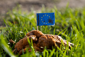 EU Flagge steckt in Hundekot auf einer Wiese an einem sonnigen Tag