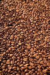 Close-up of roasted coffee beans