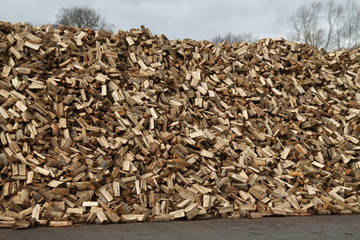 Warming wood pile alternative renewable energy