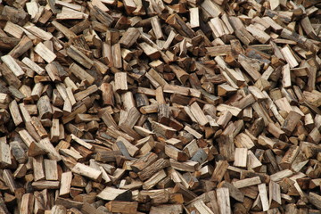 Warming wood pile alternative renewable energy