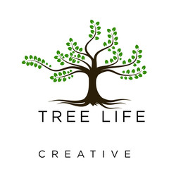 Obraz premium tree life logo
